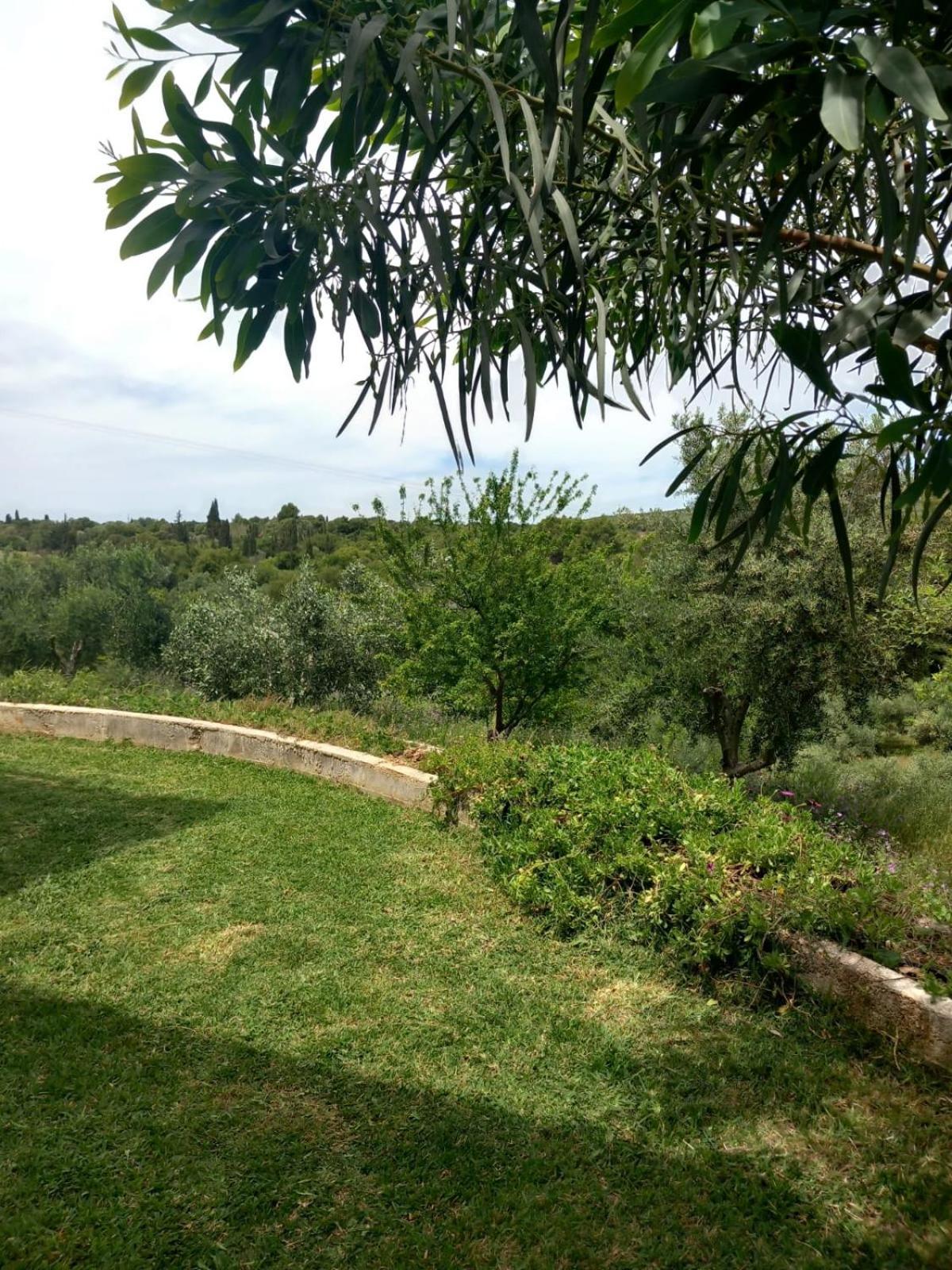 ארגוסטולי 4T Apartments מראה חיצוני תמונה
